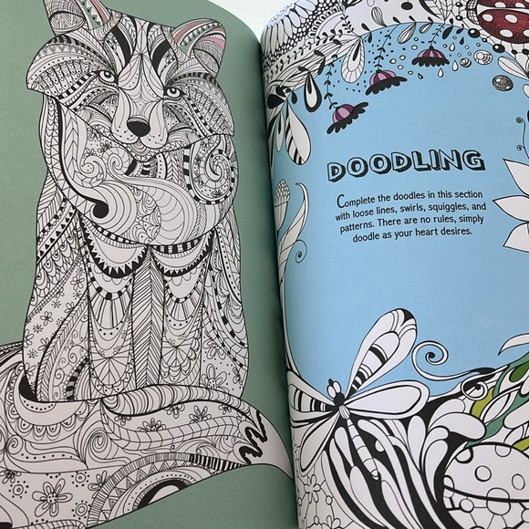 Calming Therapy: An Anti-Stress Coloring Book - Picture 11 of 16